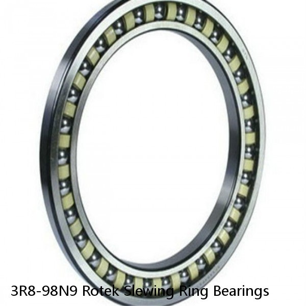 3R8-98N9 Rotek Slewing Ring Bearings