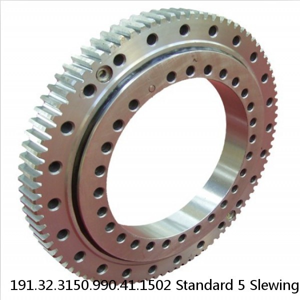 191.32.3150.990.41.1502 Standard 5 Slewing Ring Bearings