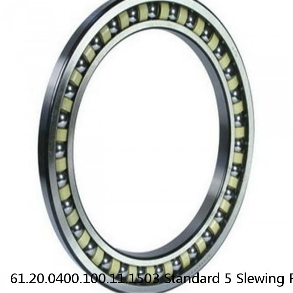 61.20.0400.100.11.1503 Standard 5 Slewing Ring Bearings