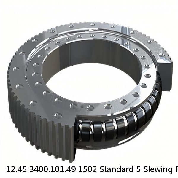 12.45.3400.101.49.1502 Standard 5 Slewing Ring Bearings