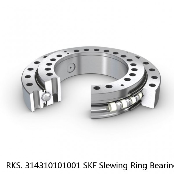 RKS. 314310101001 SKF Slewing Ring Bearings