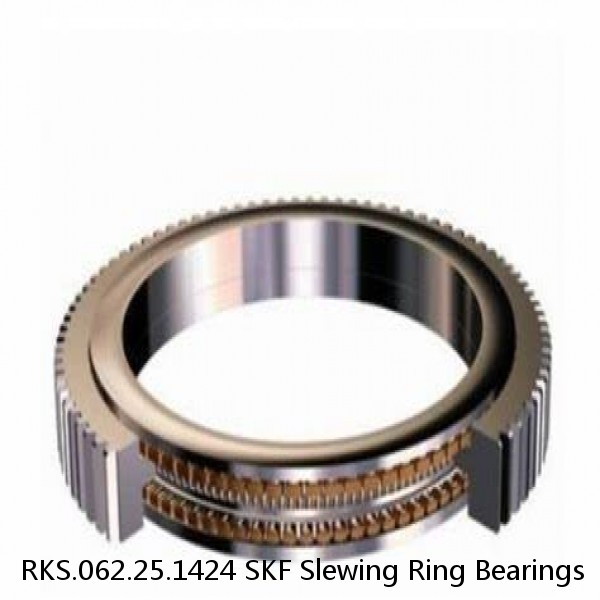 RKS.062.25.1424 SKF Slewing Ring Bearings