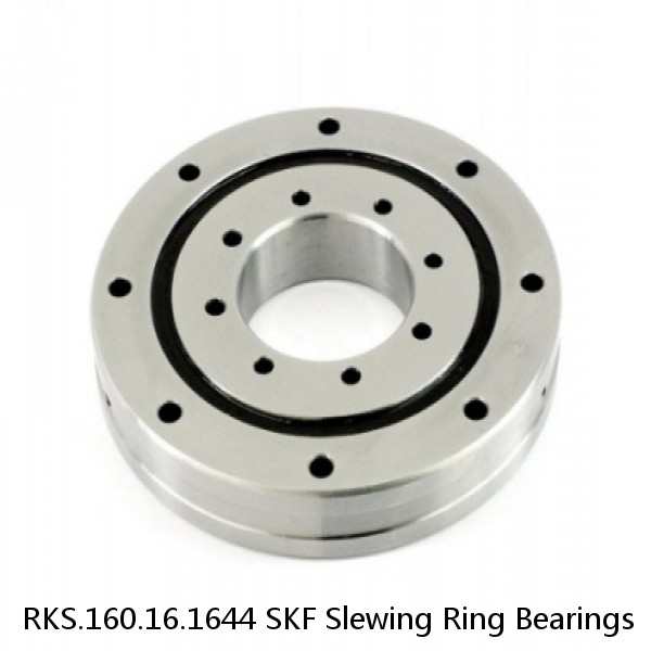 RKS.160.16.1644 SKF Slewing Ring Bearings