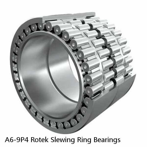 A6-9P4 Rotek Slewing Ring Bearings