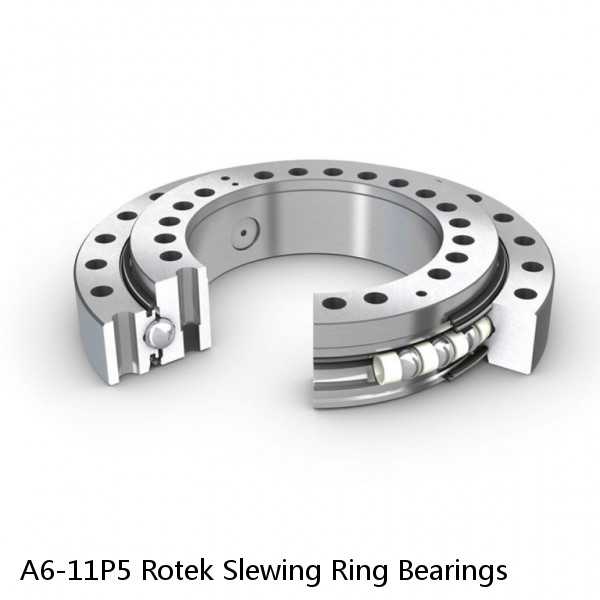 A6-11P5 Rotek Slewing Ring Bearings