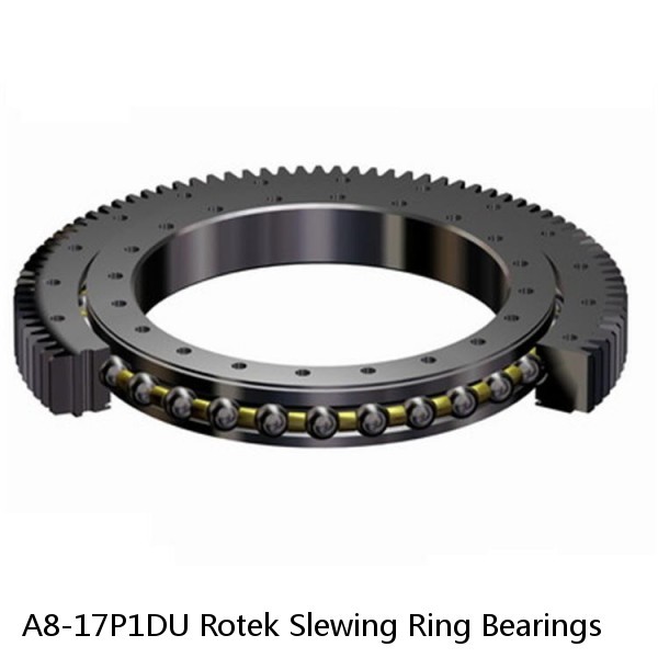 A8-17P1DU Rotek Slewing Ring Bearings