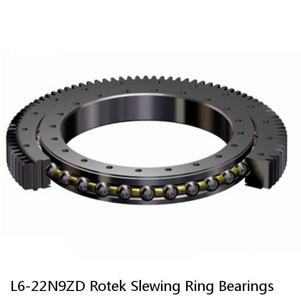 L6-22N9ZD Rotek Slewing Ring Bearings