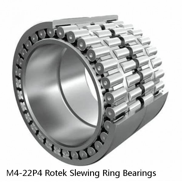 M4-22P4 Rotek Slewing Ring Bearings