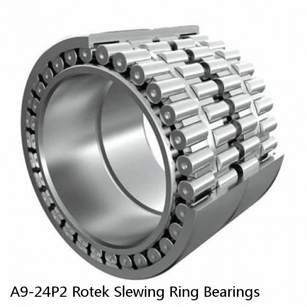 A9-24P2 Rotek Slewing Ring Bearings