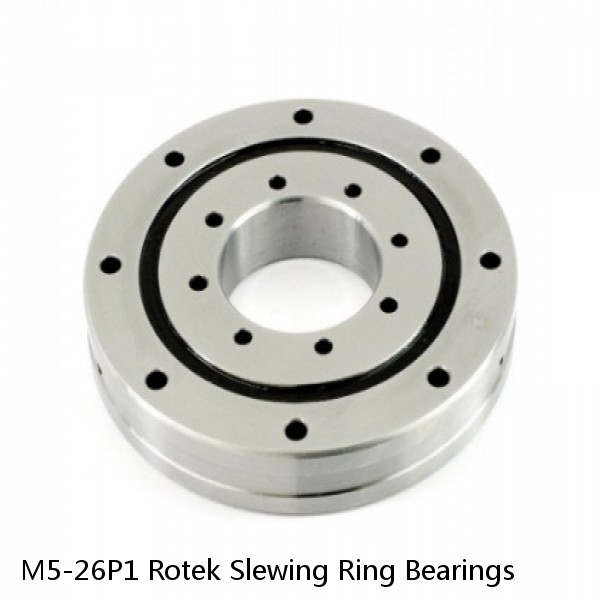 M5-26P1 Rotek Slewing Ring Bearings