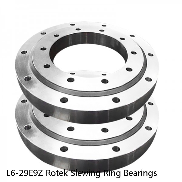 L6-29E9Z Rotek Slewing Ring Bearings