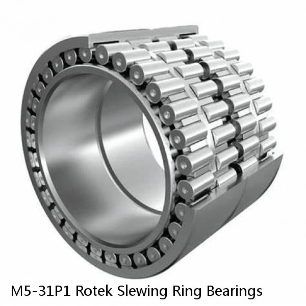 M5-31P1 Rotek Slewing Ring Bearings