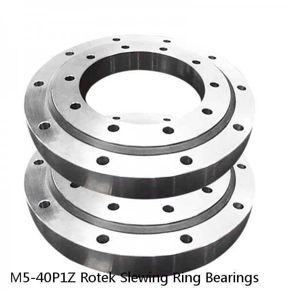 M5-40P1Z Rotek Slewing Ring Bearings