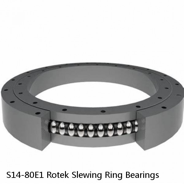 S14-80E1 Rotek Slewing Ring Bearings