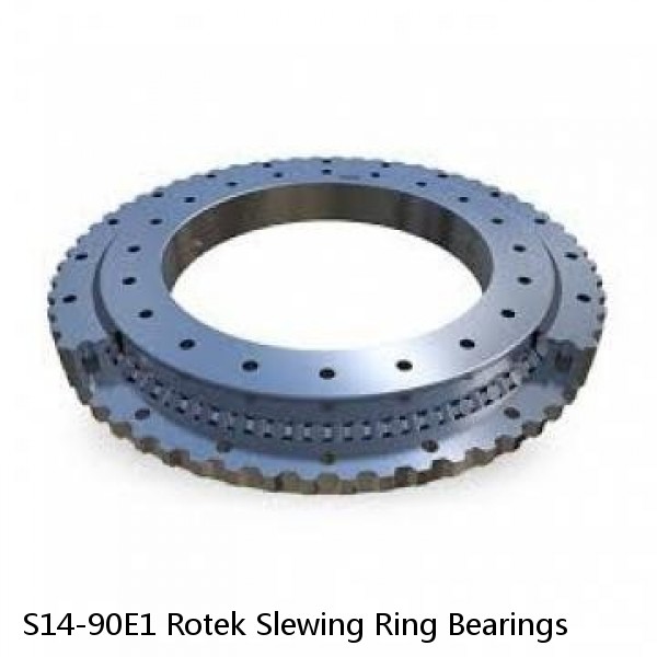 S14-90E1 Rotek Slewing Ring Bearings