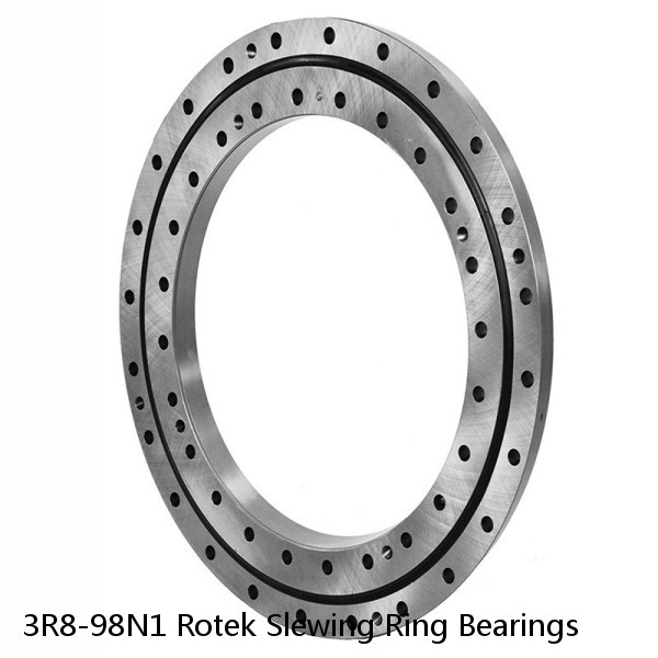 3R8-98N1 Rotek Slewing Ring Bearings