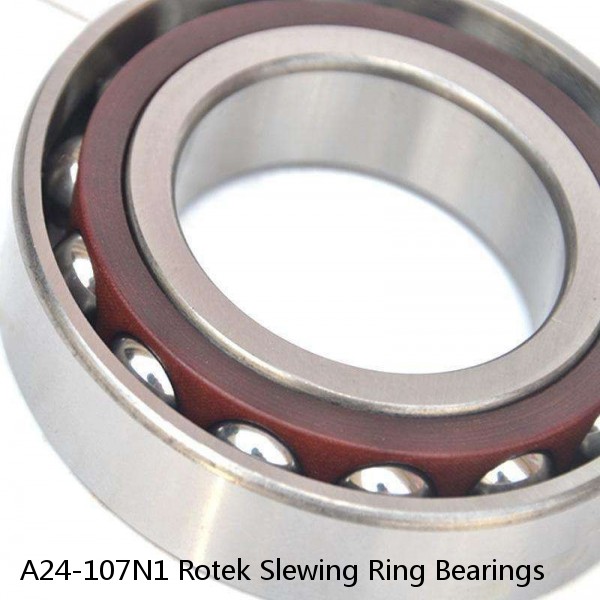 A24-107N1 Rotek Slewing Ring Bearings