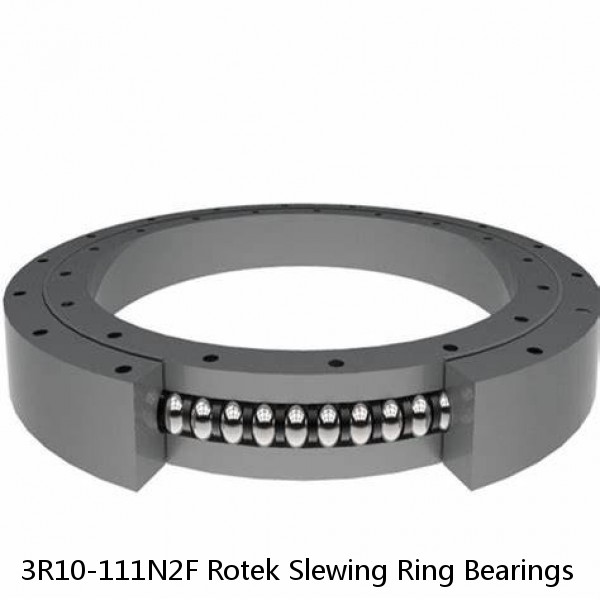 3R10-111N2F Rotek Slewing Ring Bearings