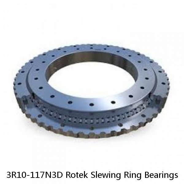 3R10-117N3D Rotek Slewing Ring Bearings