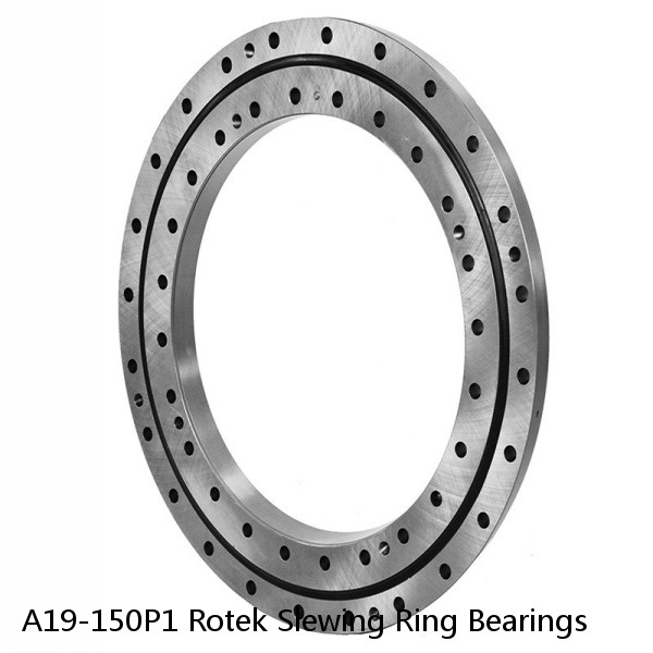 A19-150P1 Rotek Slewing Ring Bearings