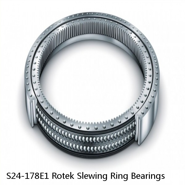 S24-178E1 Rotek Slewing Ring Bearings