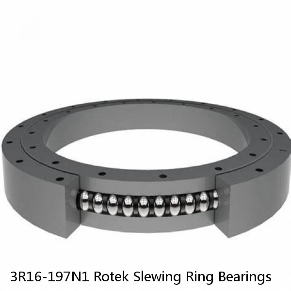 3R16-197N1 Rotek Slewing Ring Bearings