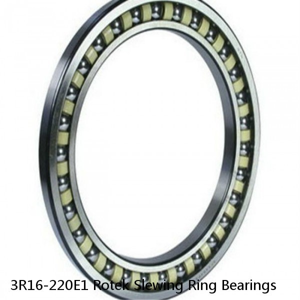 3R16-220E1 Rotek Slewing Ring Bearings