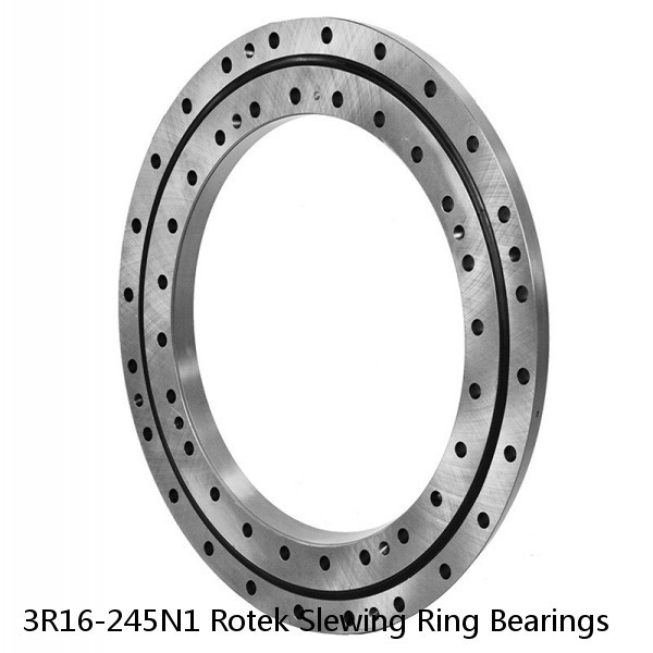 3R16-245N1 Rotek Slewing Ring Bearings