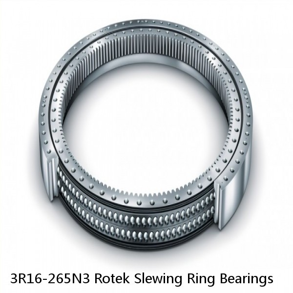 3R16-265N3 Rotek Slewing Ring Bearings