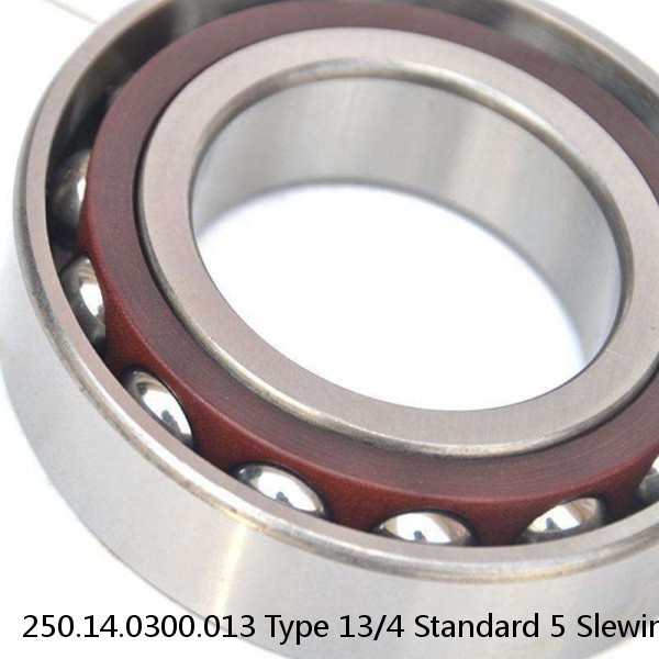 250.14.0300.013 Type 13/4 Standard 5 Slewing Ring Bearings