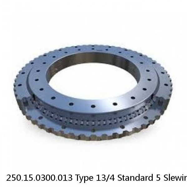 250.15.0300.013 Type 13/4 Standard 5 Slewing Ring Bearings