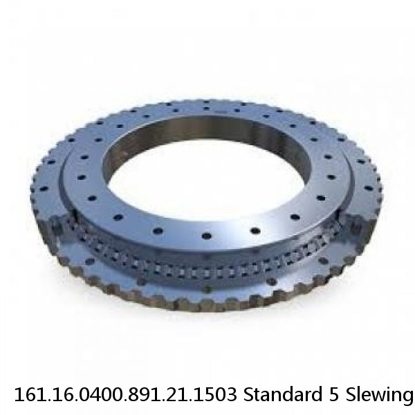 161.16.0400.891.21.1503 Standard 5 Slewing Ring Bearings