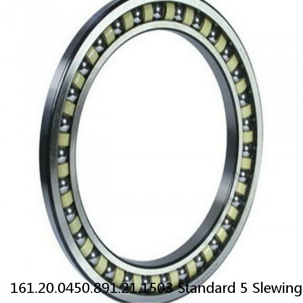 161.20.0450.891.21.1503 Standard 5 Slewing Ring Bearings