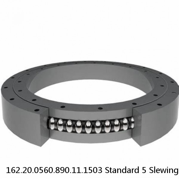 162.20.0560.890.11.1503 Standard 5 Slewing Ring Bearings