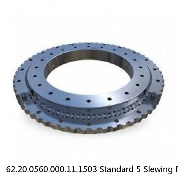 62.20.0560.000.11.1503 Standard 5 Slewing Ring Bearings