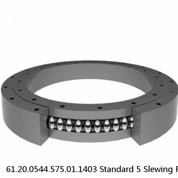 61.20.0544.575.01.1403 Standard 5 Slewing Ring Bearings