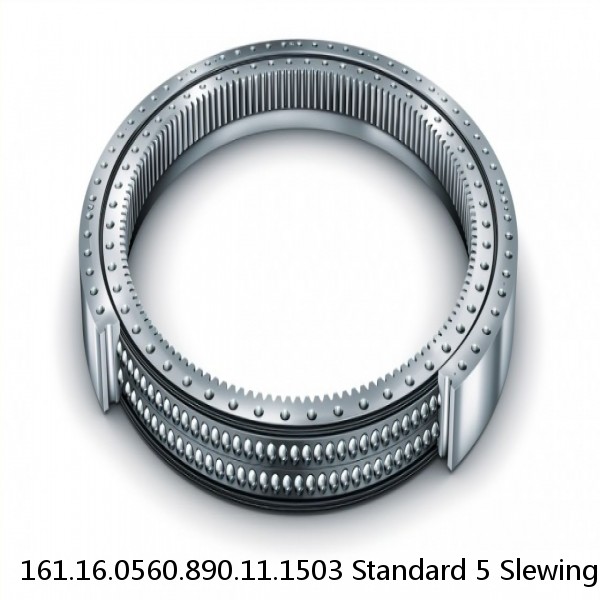 161.16.0560.890.11.1503 Standard 5 Slewing Ring Bearings