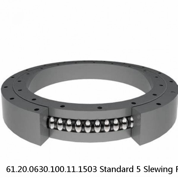 61.20.0630.100.11.1503 Standard 5 Slewing Ring Bearings