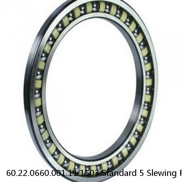 60.22.0660.001.11.1503 Standard 5 Slewing Ring Bearings