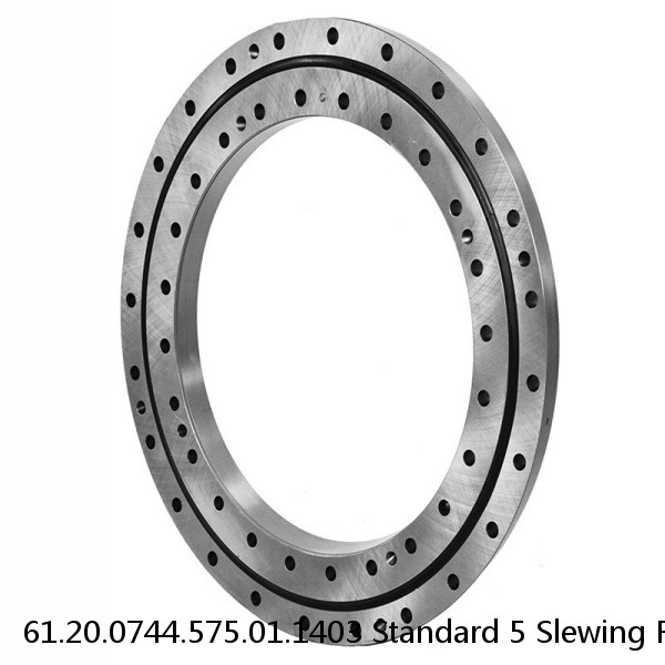 61.20.0744.575.01.1403 Standard 5 Slewing Ring Bearings