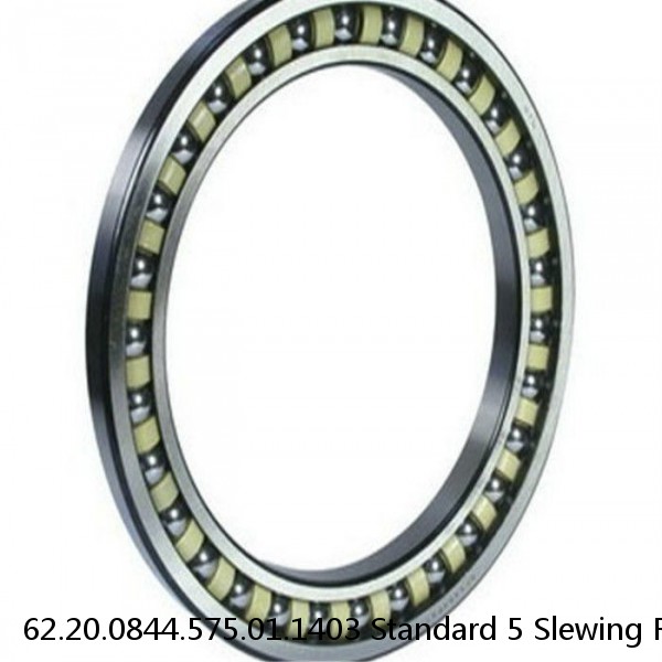 62.20.0844.575.01.1403 Standard 5 Slewing Ring Bearings