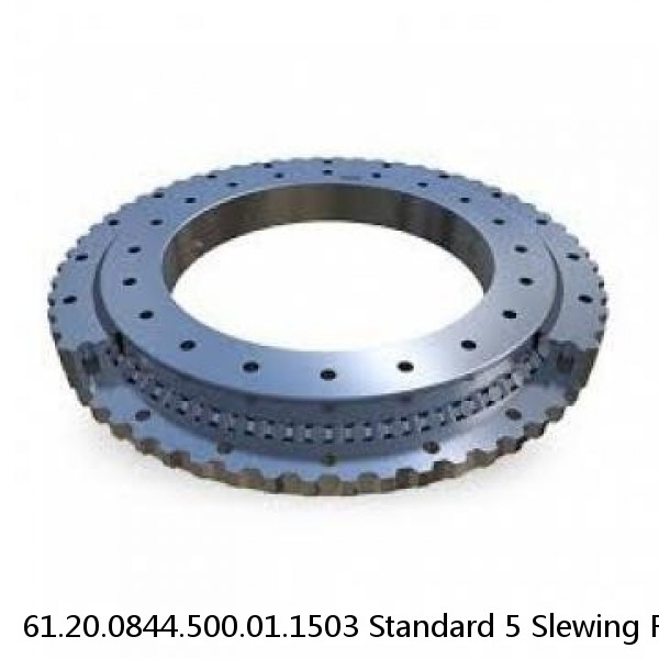 61.20.0844.500.01.1503 Standard 5 Slewing Ring Bearings