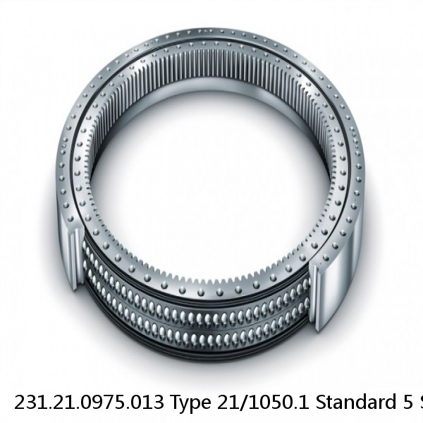 231.21.0975.013 Type 21/1050.1 Standard 5 Slewing Ring Bearings