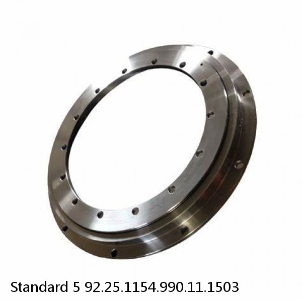 92.25.1154.990.11.1503 Standard 5 Slewing Ring Bearings