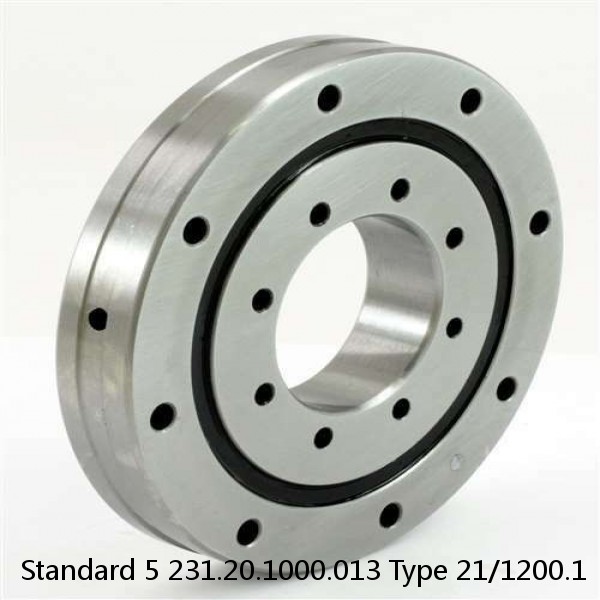 231.20.1000.013 Type 21/1200.1 Standard 5 Slewing Ring Bearings