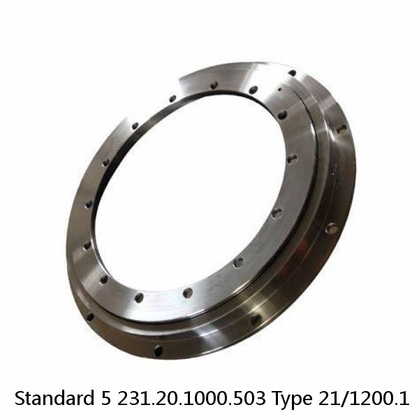 231.20.1000.503 Type 21/1200.1 Standard 5 Slewing Ring Bearings