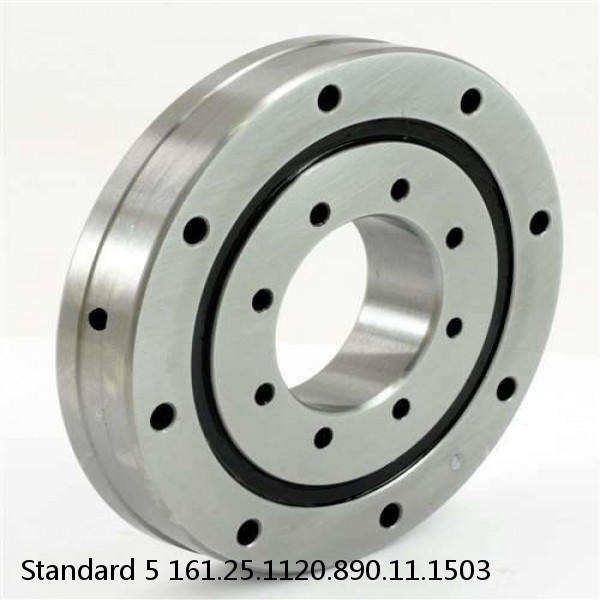 161.25.1120.890.11.1503 Standard 5 Slewing Ring Bearings