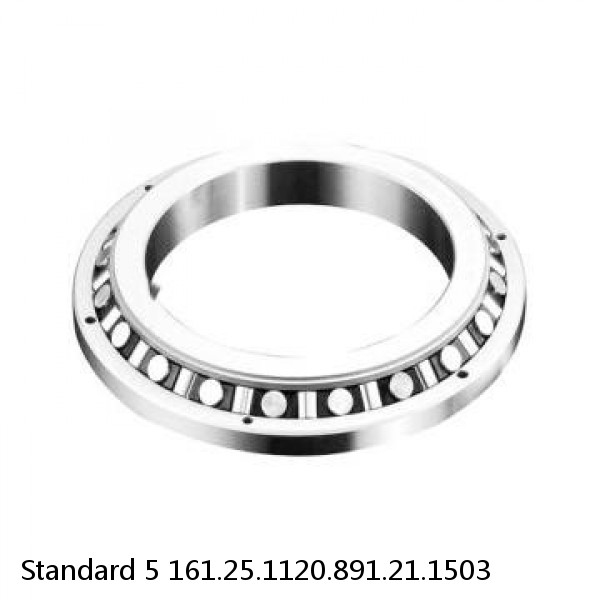 161.25.1120.891.21.1503 Standard 5 Slewing Ring Bearings