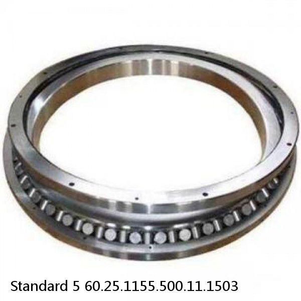 60.25.1155.500.11.1503 Standard 5 Slewing Ring Bearings