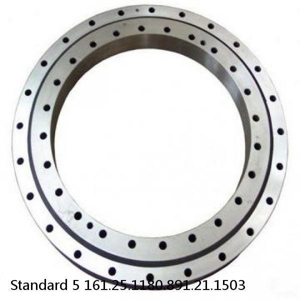 161.25.1180.891.21.1503 Standard 5 Slewing Ring Bearings